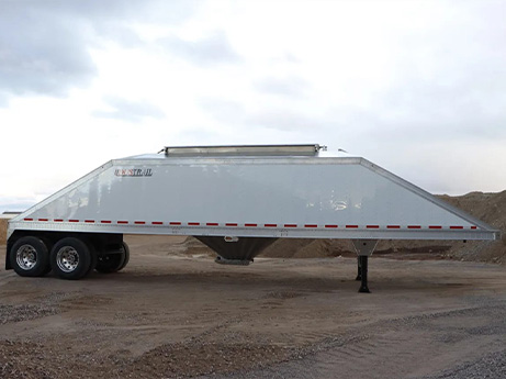 Sand Hopper